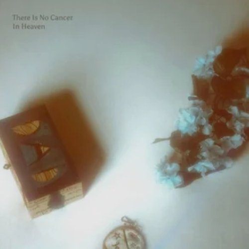 There Is No Cancer In Heaven - EP