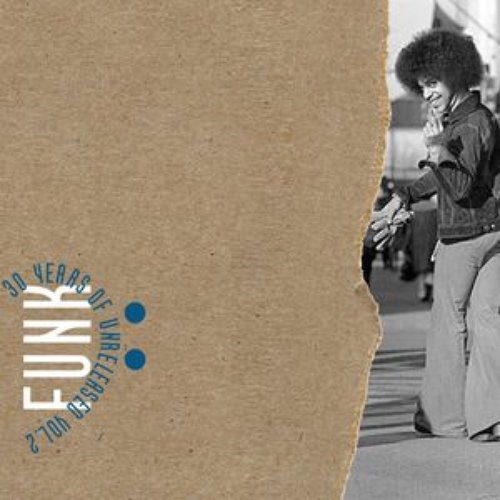 30 Years Of Unreleased Funk Vol.2