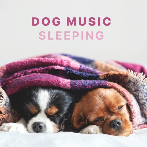 Dog Music - Sleeping Songs for Dogs and Puppies