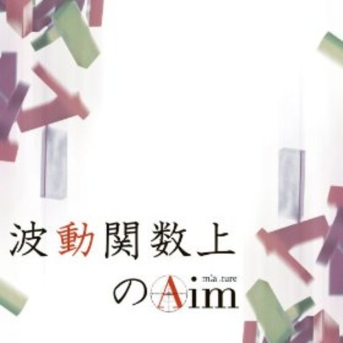波動関数上のAim