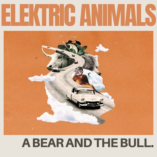 A Bear And The Bull