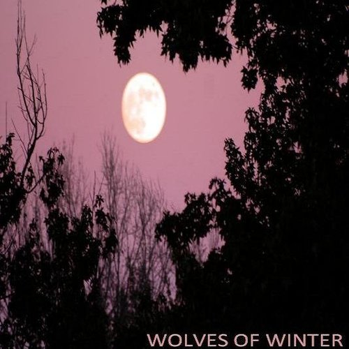 Wolves of Winter (Demo)