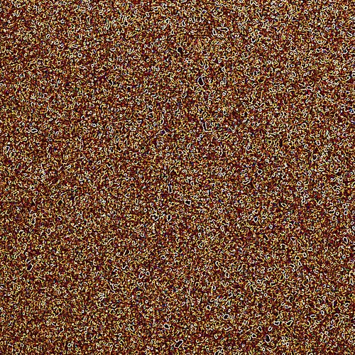 Everbrown