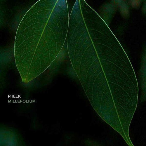 Millefolium