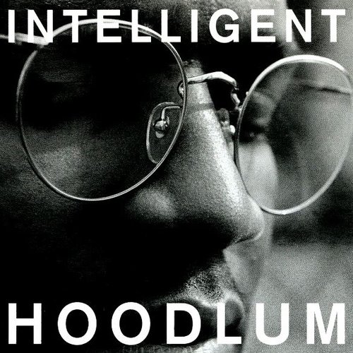 Intelligent Hoodlum