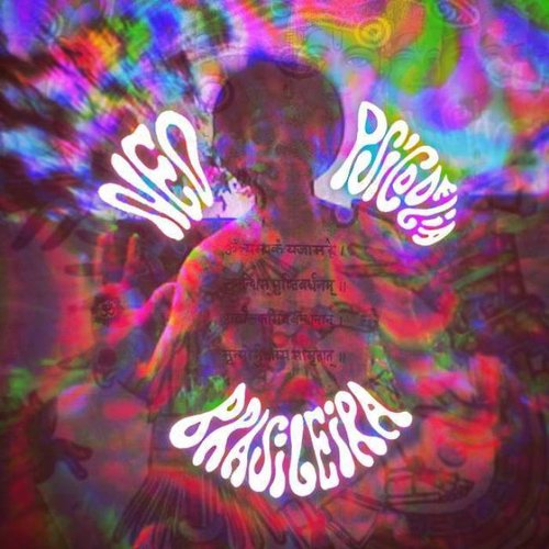 Coletânea Neo Psicodelia Brasileira