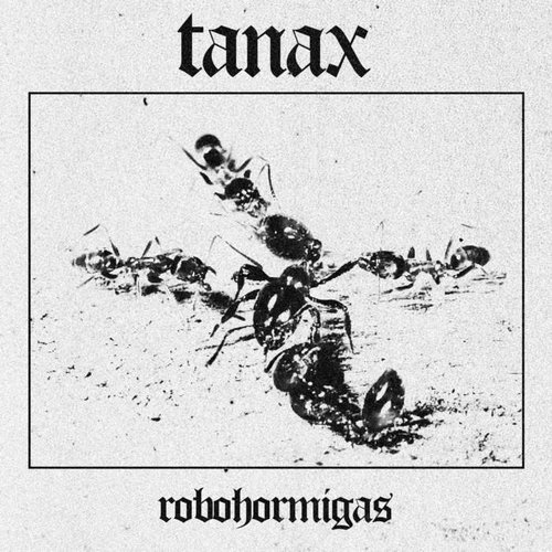 Robohormigas