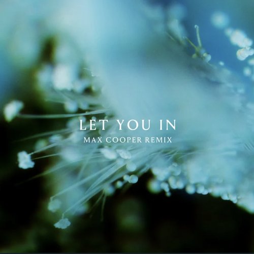 Let You In (Max Cooper Remix)