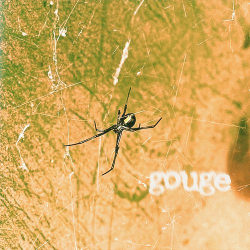 gouge