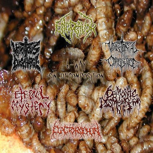 6-Way Sin Decomposition