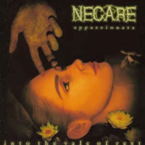 Appassionata - Into the vale of Rest