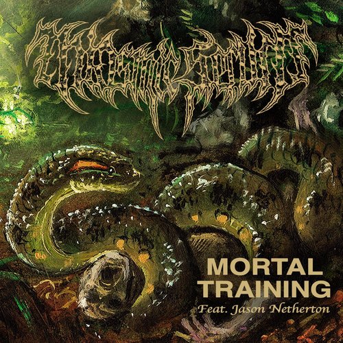 Mortal Training (feat. Jason Netherton) - Single