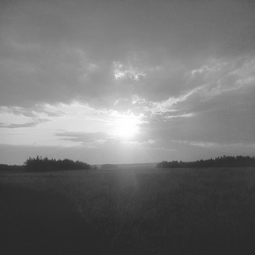 DREAMS OF THE EARTH