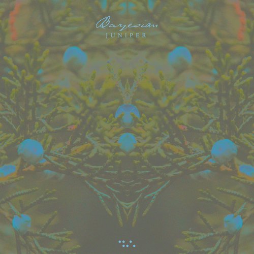 Juniper