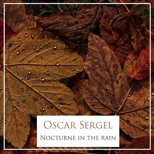 Nocturne in the rain