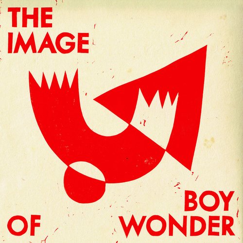 The Image Of Boy Wonder