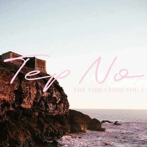 The Vibe Guide, Vol. 1