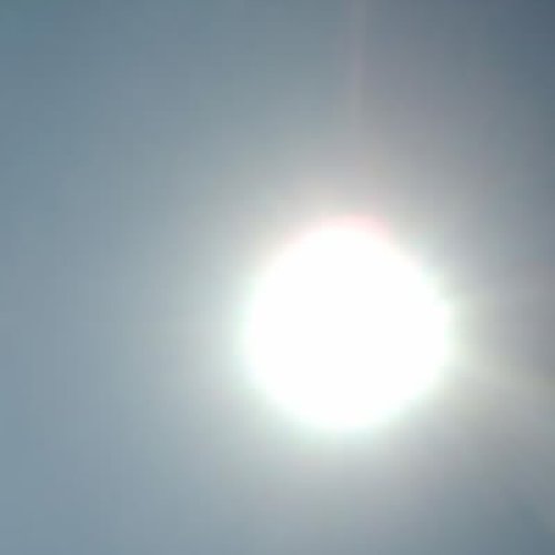 Split w/ Sun Worn