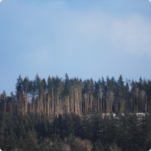 Where I'm At - Single