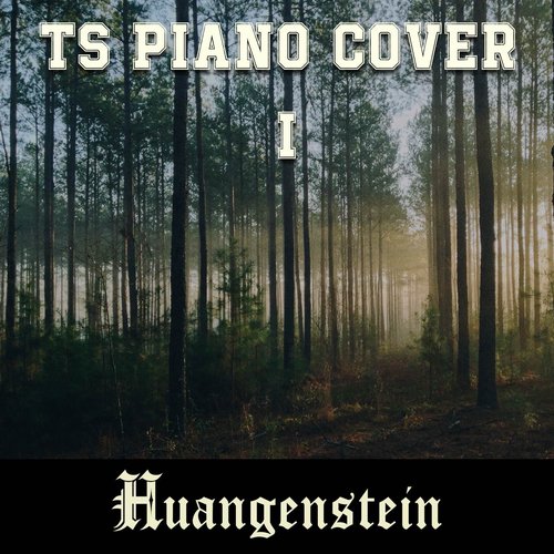 TS Piano Cover I