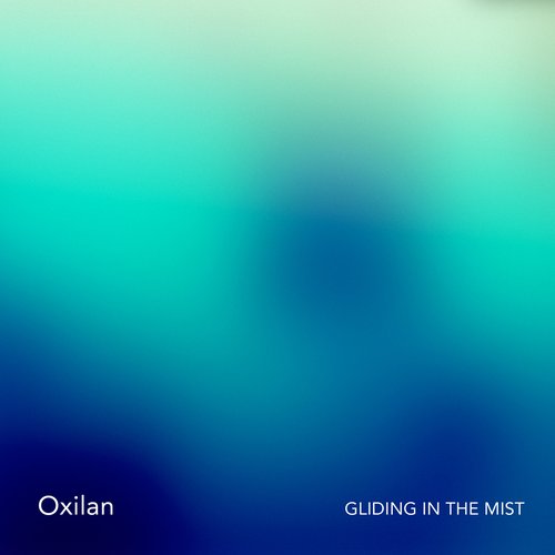 Gliding In The Mist
