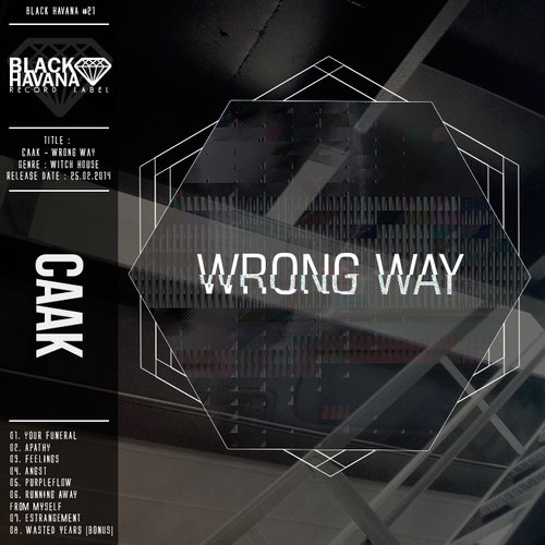 wrong way