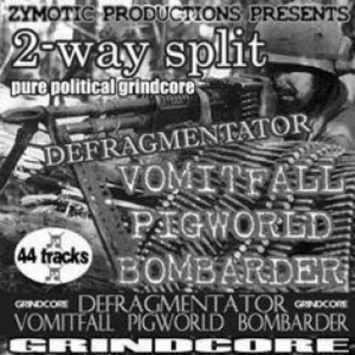 2-split grindcore split cd