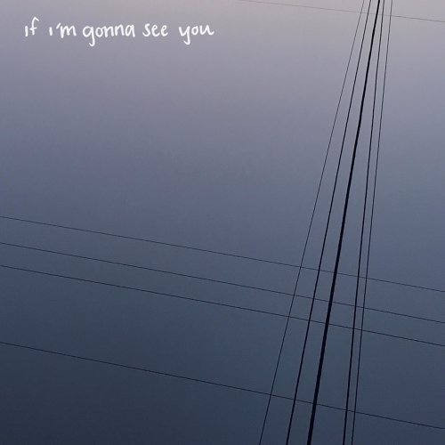 If I'm Gonna See You