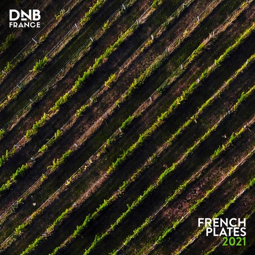 French Plates 2021