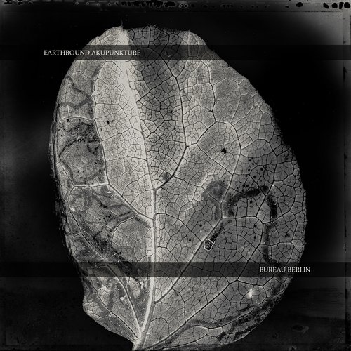 Earthbound Akupunkture