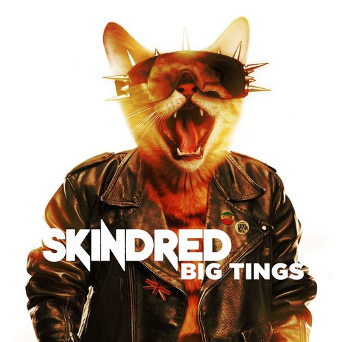 Big Tings [Explicit]