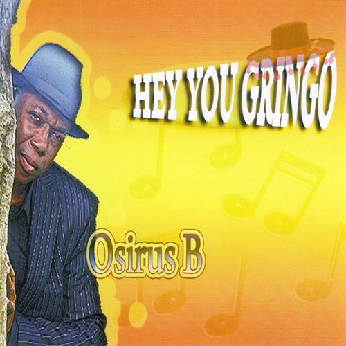 Hey You Gringo