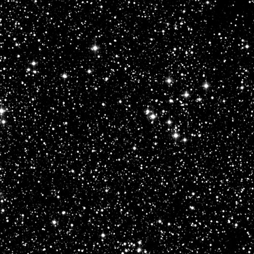 Static Universe