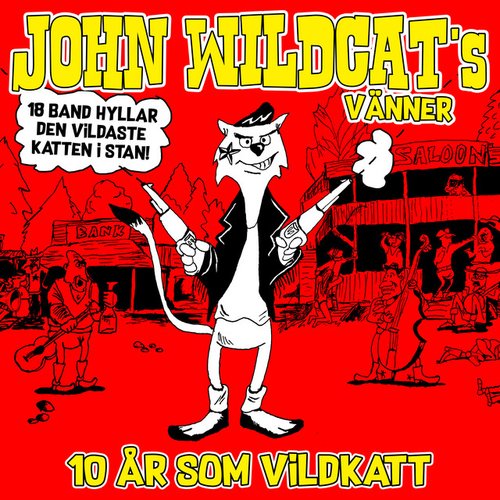 John Wildcats vänner - 10 år som Vildkatt