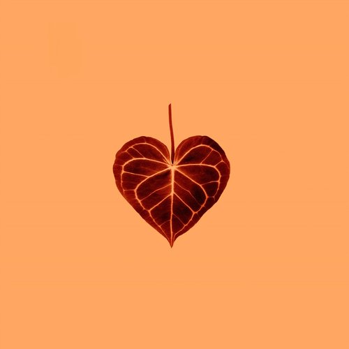 Amber (feat. Javonte Hettinger) - EP