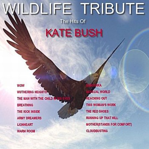 A Tribute to the Hits of Kate Bush