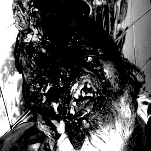 Horrid Mush demo