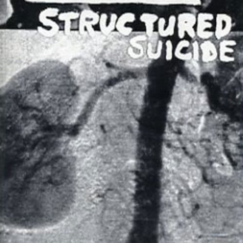 Structured Suicide