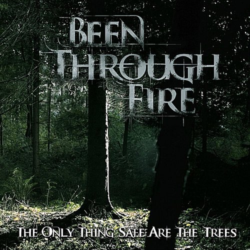 The Only Thing Safe Are The Trees