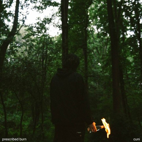 Prescribed Burn