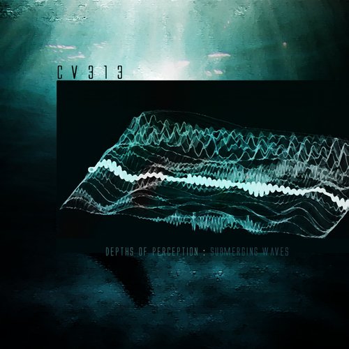 depths of perception : submerging waves