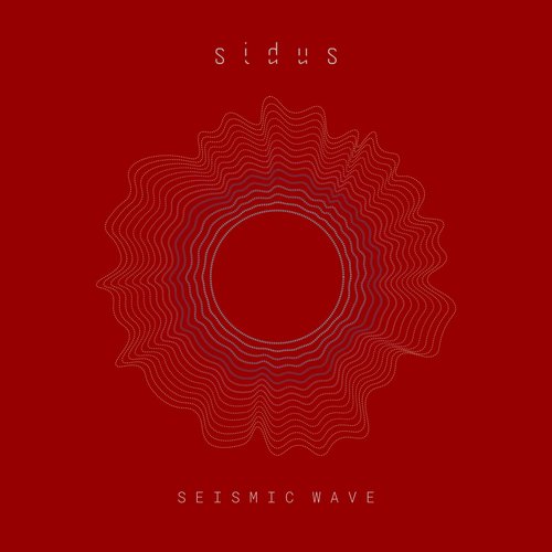 Stage II: Seismic Wave