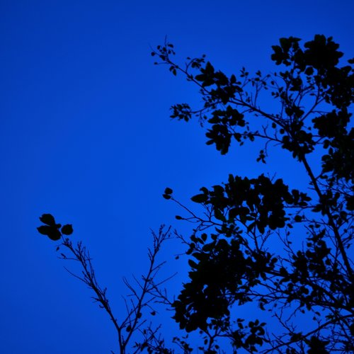 soreradiation (2013 demo)