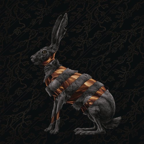 Jackrabbit (Deluxe)