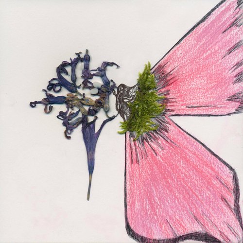 Muchuu - Single