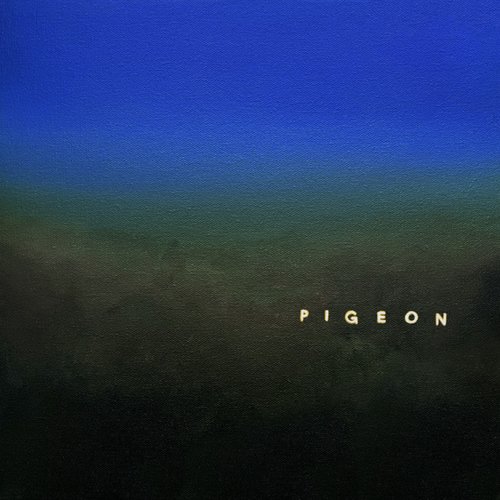 Pigeon