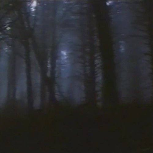 The Dark Forest 最​も​暗​い​夜