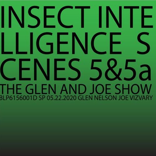 Insect Intelligence