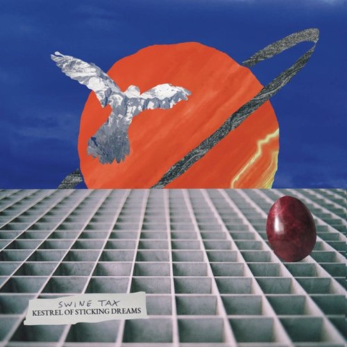 Kestrel Of Sticking Dreams