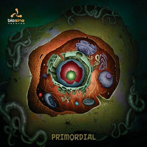 Primordial